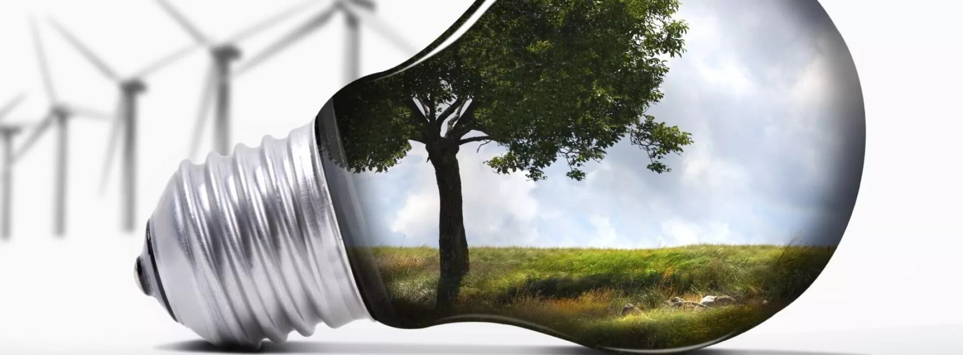 Image of Field and Tree in lightbulb